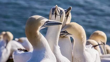 嘉兴最新公积金卡提取现金方法app方法分析(最方便真实的嘉兴公积金卡怎样从手机里取出来?方法)