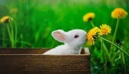 嘉兴最新怎么提现公积金卡里的钱方法分析(最方便真实的嘉兴怎么将公积金提现方法)